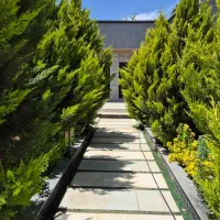 نقشه طراحی بازسازی باغ ویلا آپارتمان محوطه تراس