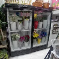دو عدد یخچال فروشگاهی