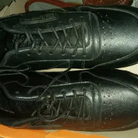 کتونی نو|کیف، کفش، کمربند|قزوین, |دیوار