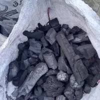 زغال کبابی کاملا جنگلی ب شرط