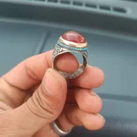 انگوشتر درجه یک|بدلیجات|اهواز, اهواز|دیوار