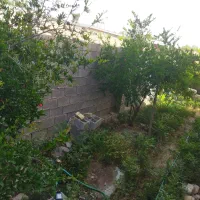 اجاره منزل ویلایی|اجارهٔ خانه و ویلا|سیاخ دارنگون, |دیوار