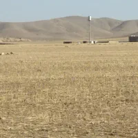 زمین دیم|فروش دفتر صنعتی، کشاورزی، تجاری|کبودرآهنگ, |دیوار