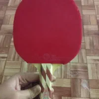 دست تنیس راکت