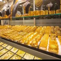 حدود 49گرم م س ی ن م