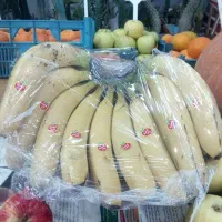 قیمت به روز میوه|خوردنی و آشامیدنی|کاشان, میدان کهنه|دیوار