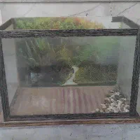 اکواریوم 50×37