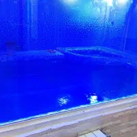 نیرو خدماتی جهت نظافت ویلا استخر دار