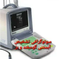 گوسفند و بز