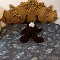 تخت خواب تک نفره ونوجوان