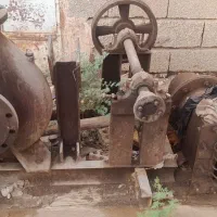 موتورخنزیره هشت به شش