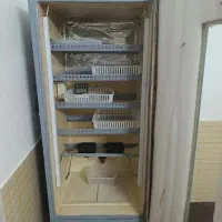 دستگاه جوجه کشی دستی و دست ساز|لوازم جانبی حیوانات|گنبد کاووس, |دیوار