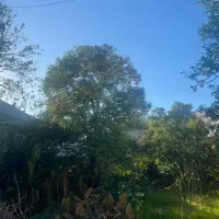 باغ شهری بافت مسکونی 300 متر رادیودریا