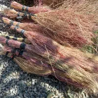 جارو|جاروبرقی، جارو شارژی، بخارشو|بیرانوند, |دیوار