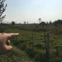 هزار مترزمین مسکونی نیازمالی شدید بشتابید|فروش زمین و ملک کلنگی|فومن, |دیوار