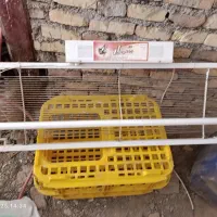 مگس کش برقی
