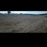 فروش زمین در شهرک صنعتی فاز یک|فروش زمین و ملک کلنگی|نکا, |دیوار