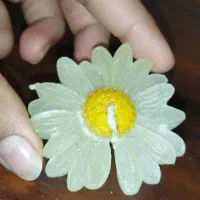 شمع|صنایع دستی و سایر لوازم تزئینی|کاشان, دروازه فین|دیوار