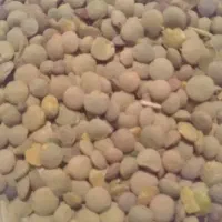 عدس زود پز و تازه|خوردنی و آشامیدنی|میانه, |دیوار