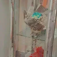 کنسول