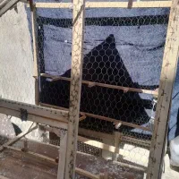 قفس کبوتر