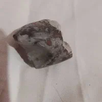 سنگ قیمتی وفسیل