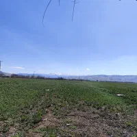 زمین کشاورزی آبی نیم هکتار