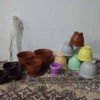 گلدان|گل و گیاه طبیعی|مشهد, شهرک مهر آباد|دیوار