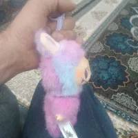 لبو بو|اسباب‌‌بازی|اردبیل, |دیوار