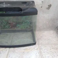 اکواریوم ۴۰در۴۰