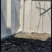 کاربنای|خدمات پیشه و مهارت|بندر انزلی, انصار الحسین|دیوار