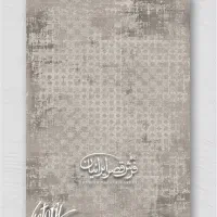 فرش های  سری ویکتور قصرایرانیان طرح پتینه