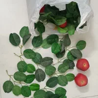 برگ مصنوعی تزیینی همراه با سیب