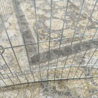 قفس سگ ، فنس برای حیوان|لوازم جانبی حیوانات|شیراز, شهرک والفجر|دیوار