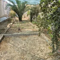 کاشت گل و‌گیاه|خدمات باغبانی و درختکاری|رامهرمز, |دیوار