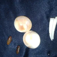 مهره|کلکسیون اشیاء عتیقه|اهواز, کمپلو جنوبی|دیوار