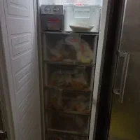 یخچال دو قلوی ال جی|یخچال و فریزر|صومعه‌سرا, |دیوار