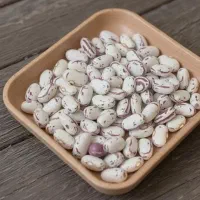 لوبیاچیتی نخود عدس لپه برنج چای کشمش ذرت زیر قیمت