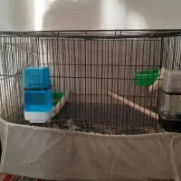 قفس|لوازم جانبی حیوانات|هشتگرد, شهرک صنعتی هشتگرد|دیوار