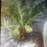 فروش خانه ویلایی