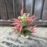 گل مصنوعی آکواریوم|ماهی|ارومیه, |دیوار