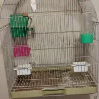 قفس پرندگان تکمیل