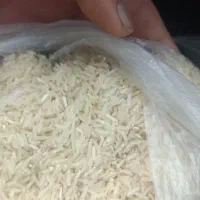 برنج‌فجر‌سوزنی‌قلم‌ریر|خوردنی و آشامیدنی|خان ببین, |دیوار