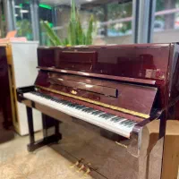 یاماها یانگ چانگ سمیک پتروف روزنبرگ نوازندگی»|پیانو، کیبورد، آکاردئون|نطنز, |دیوار