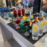 بارتندر مهمونی بارمن