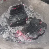 ذغال لاخولی