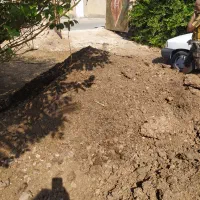 کود گاوی تمیز