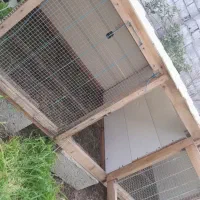 قفس نگهداری جوجه غاز مرغ اردک و بلدرچین و..|لوازم جانبی حیوانات|ایزدشهر, |دیوار