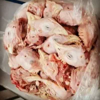 کله مرغ تازه