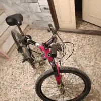 دوچرخه ۲۶ ویوا اکسیژن|دوچرخه، اسکیت، اسکوتر|شاهین‌شهر, الهیه|دیوار